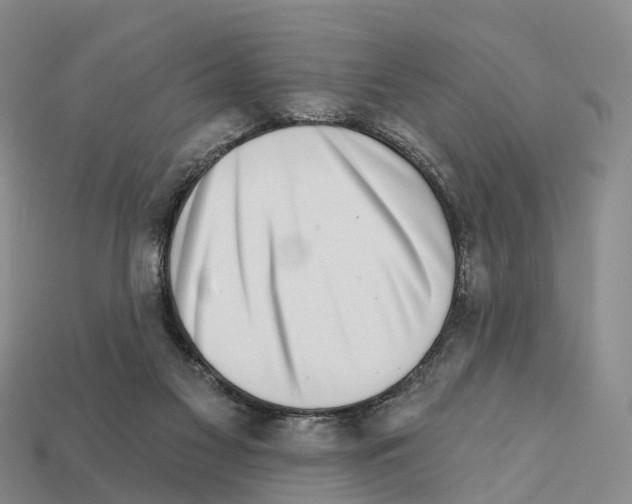 X0000112430117200909251545
