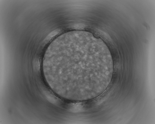 X0000112430120200909251545