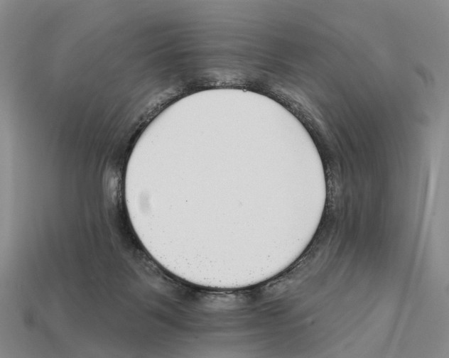X0000112430123200909251544