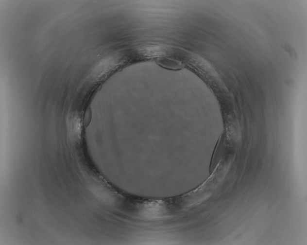 X0000112430124200909251544