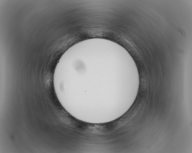 X0000112430125200909251544