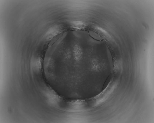 X0000112430128200909251544