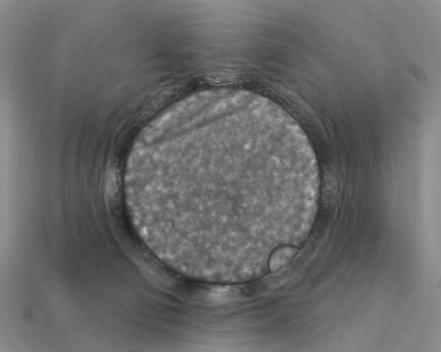 X0000112430130200909251544