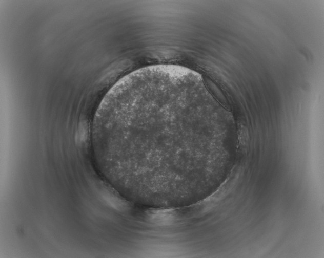 X0000112430132200909251544