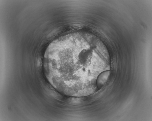 X0000112430134200909251544