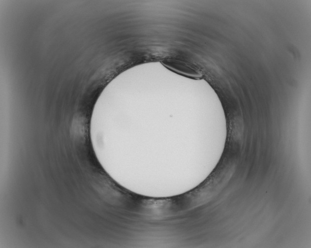 X0000112430135200909251544
