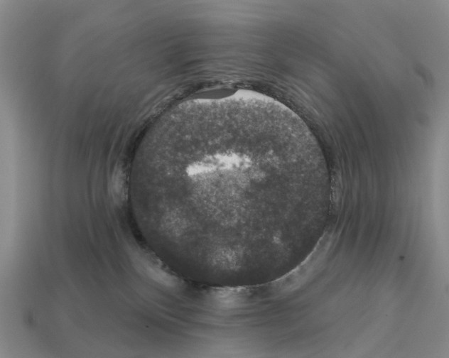 X0000112430136200909251544