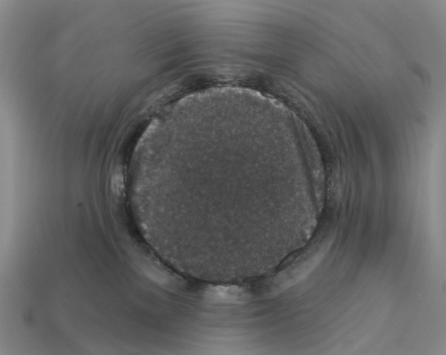 X0000112430137200909251544