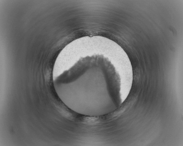 X0000112430139200909251544