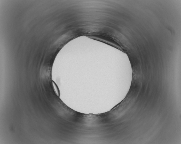X0000112430141200909251544