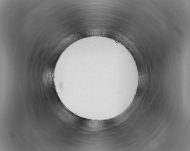 X0000112430142200909251544