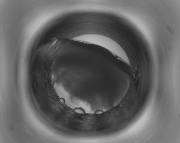 X0000112430143200909251544