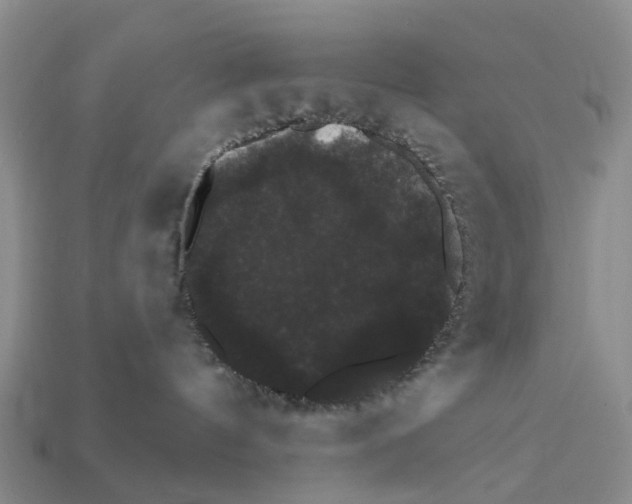 X0000112430144200909251544
