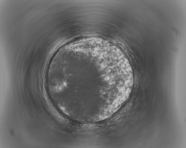 X0000112430145200909251544