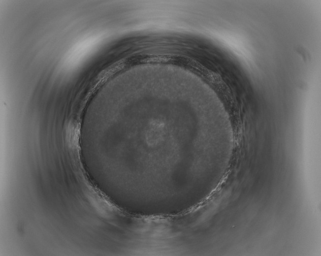 X0000112430146200909251544