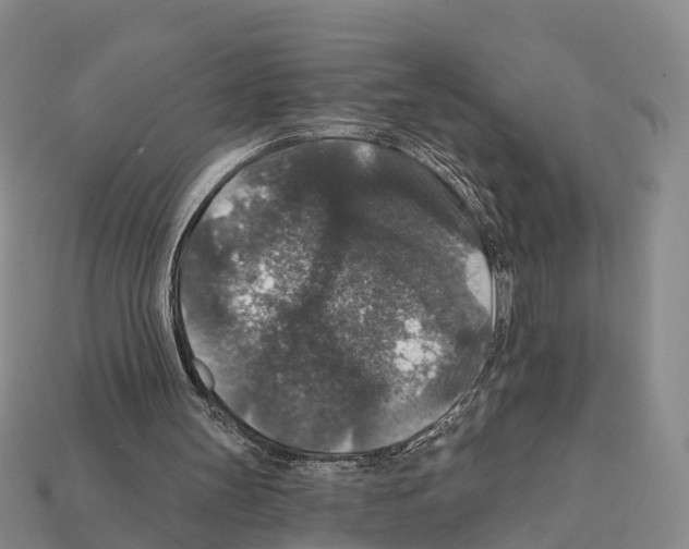 X0000112430147200909251544
