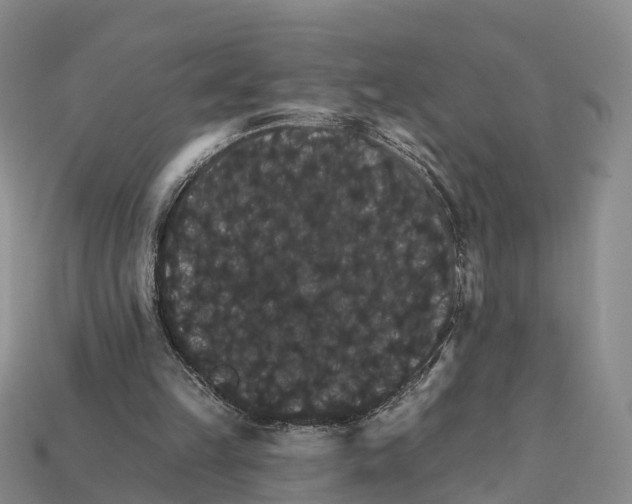 X0000112430149200909251544