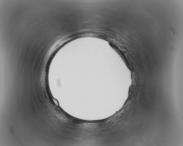 X0000112430150200909251544