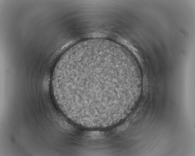 X0000112430153200909251544