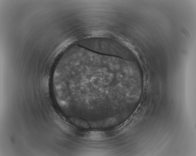 X0000112430154200909251544