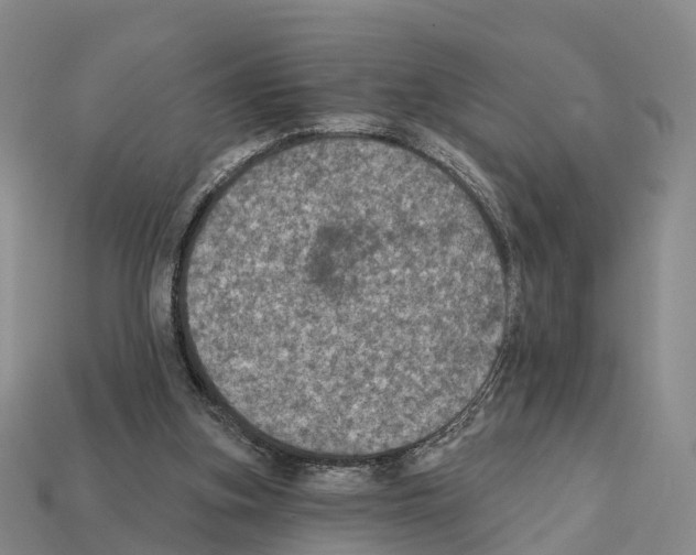 X0000112430155200909251544