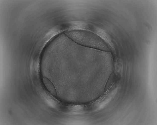 X0000112430156200909251544