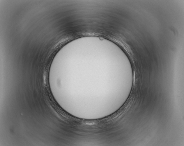 X0000112430157200909251544