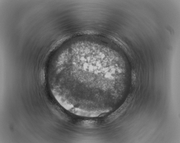 X0000112430158200909251544