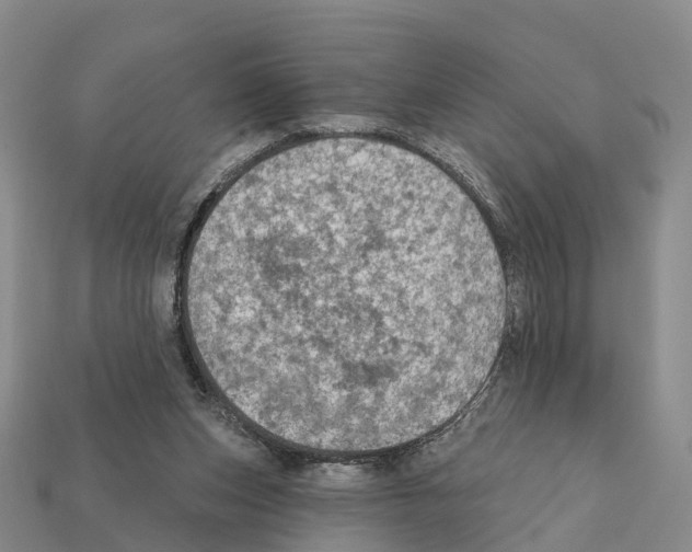 X0000112430159200909251544