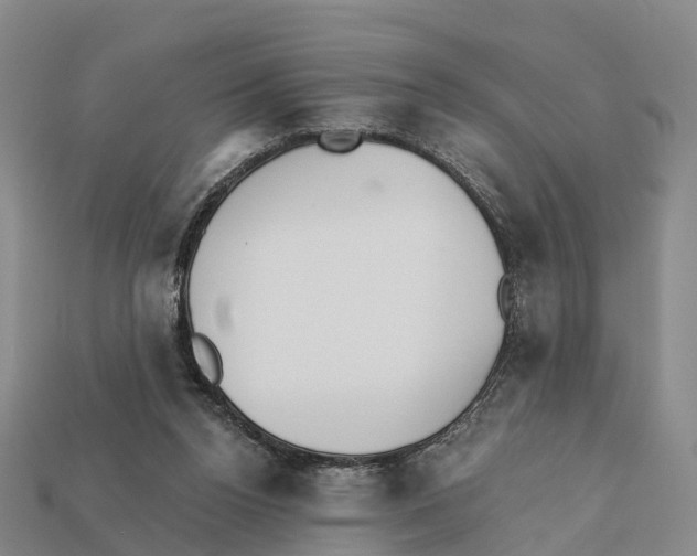 X0000112430160200909251544