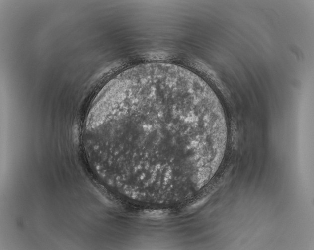 X0000112430161200909251544