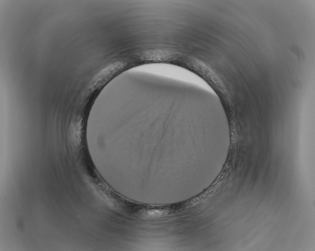 X0000112430163200909251544