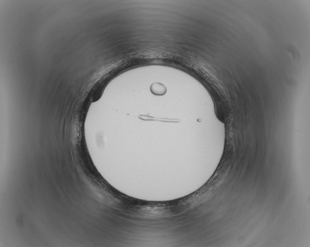 X0000112430164200909251544