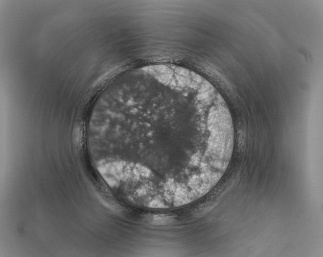 X0000112430165200909251544
