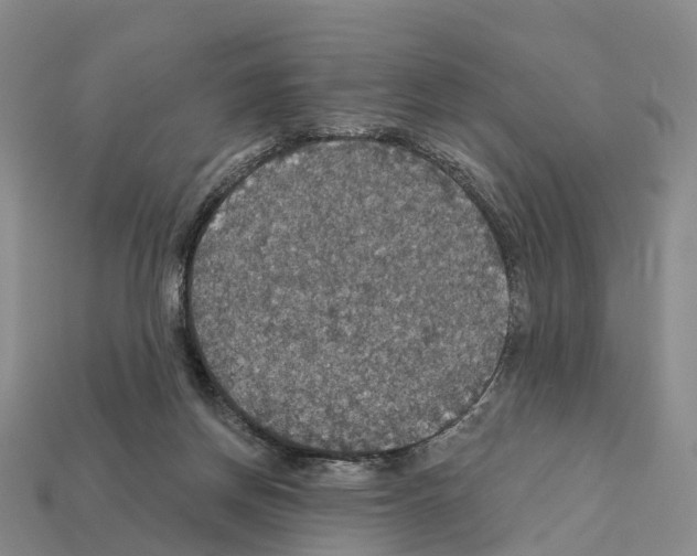 X0000112430166200909251544