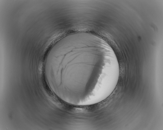 X0000112430167200909251544