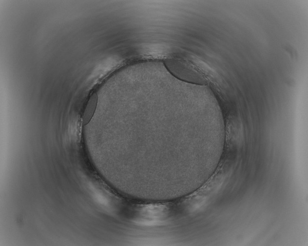 X0000112430168200909251544