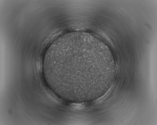 X0000112430170200909251544