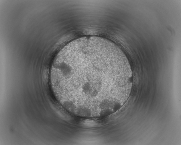 X0000112430171200909251544