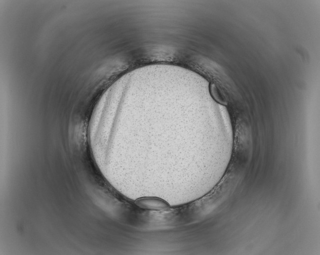 X0000112430172200909251544