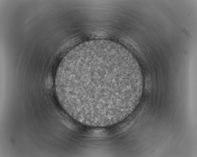 X0000112430173200909251544