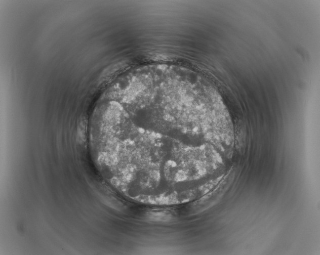 X0000112430175200909251544
