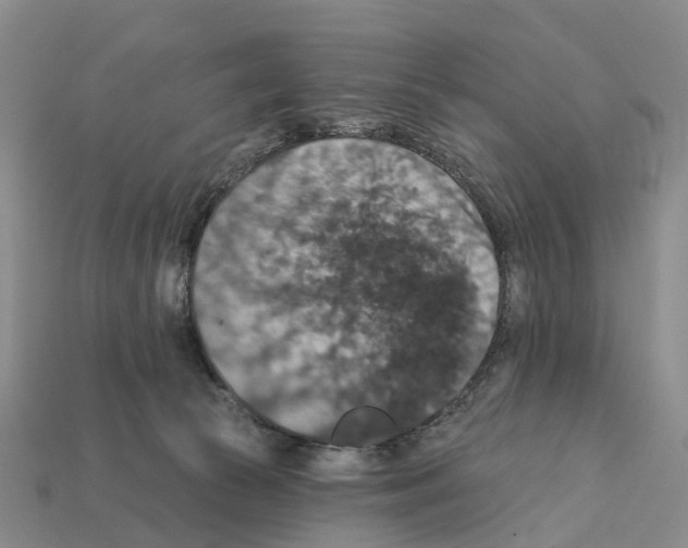 X0000112430177200909251544