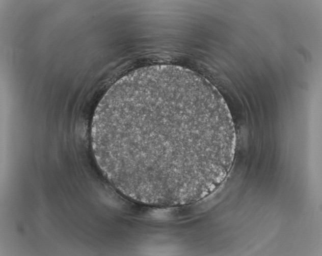X0000112430178200909251544