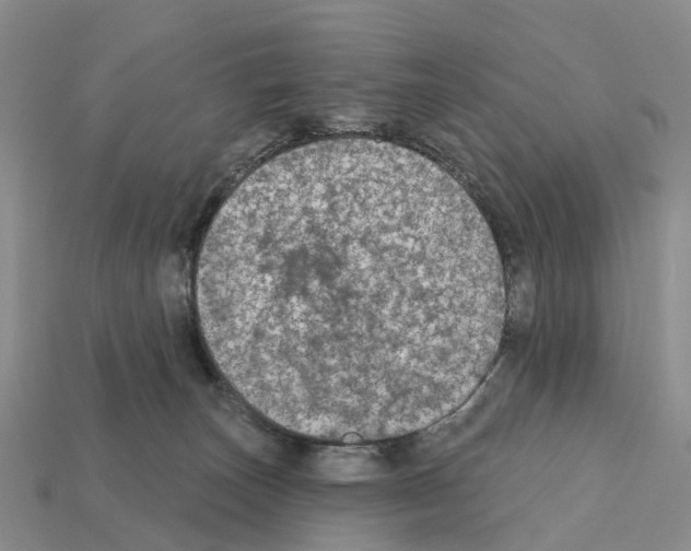 X0000112430179200909251544