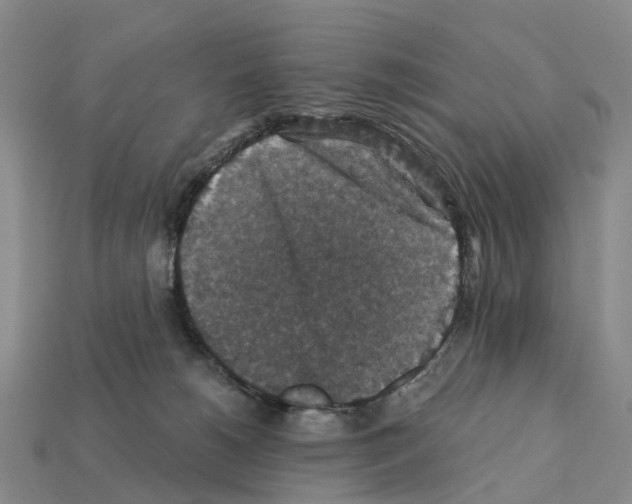 X0000112430180200909251544