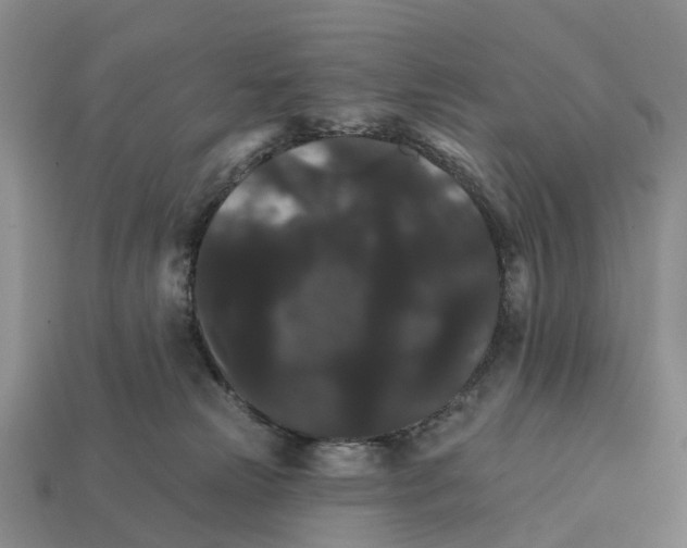 X0000112430181200909251544