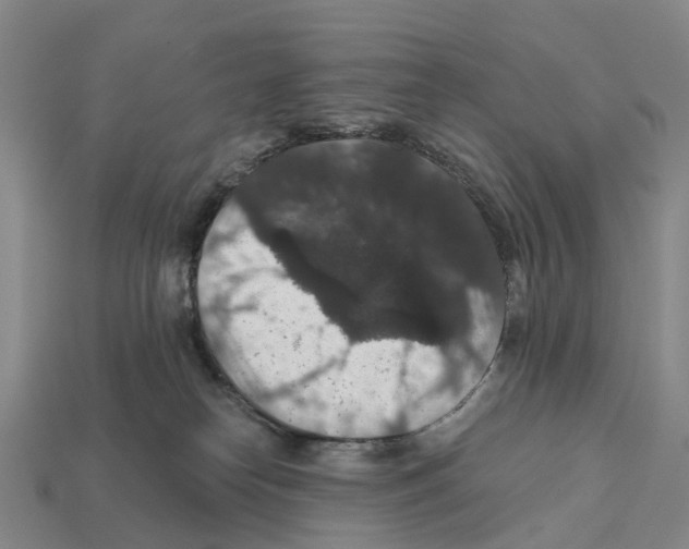 X0000112430182200909251544