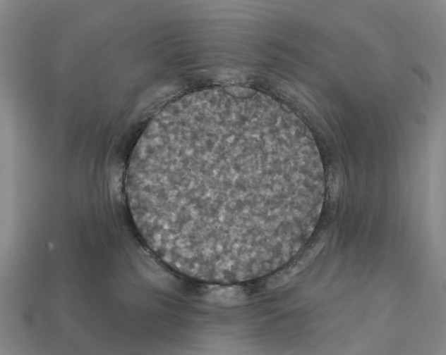 X0000112430185200909251544