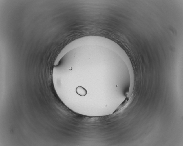 X0000112430186200909251544